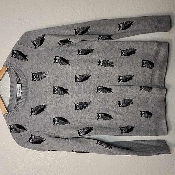 Charter Club Owl Crewneck Sweater with Rhinestone Detail - Picture 1 of 7
